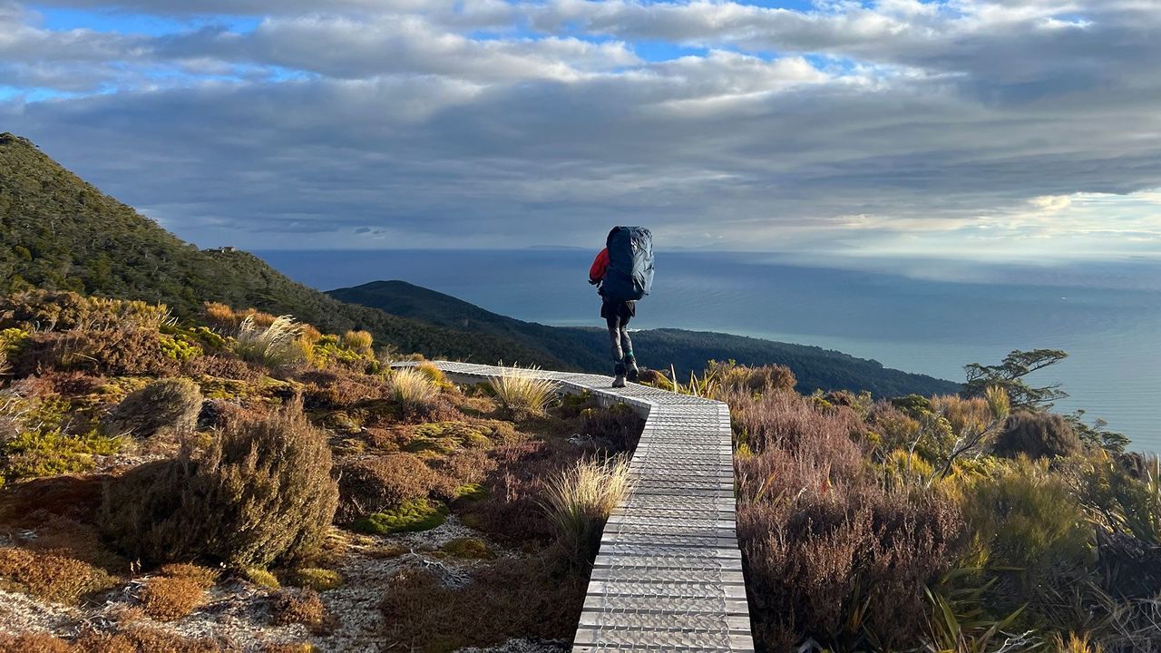 The Importance of Time Management When Exploring Nature Coast Attractions