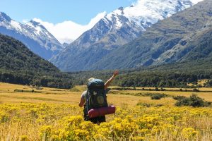 Best Times to Visit Nature Coast- Plan Your Trip Around Key Events