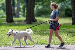 Dog Friendly Trails and Parks on Nature Coast