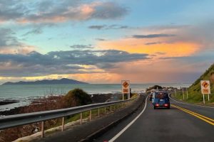Road Trip Guide for Exploring Nature Coast