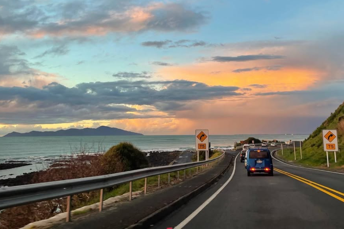 Road Trip Guide for Exploring Nature Coast