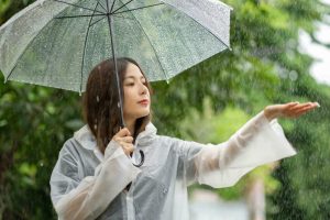 Things to Do on Rainy Days on Nature Coast