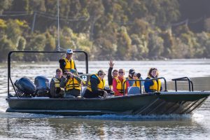 Where to Join a Boat Tour on Nature Coast