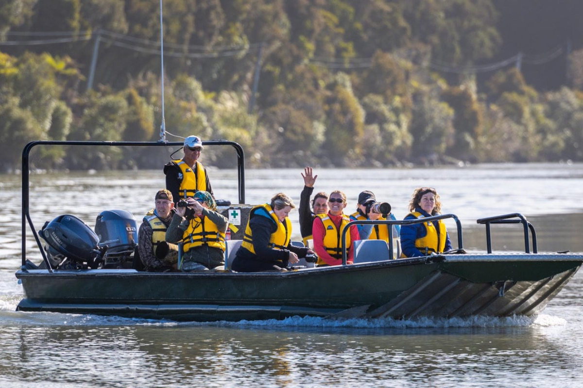 Where to Join a Boat Tour on Nature Coast